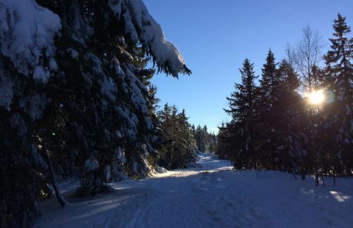 Ferienwohnung Kuckuck auf dem Sommerberg incl Schwarzwald Plus-Karte - 2 Zimmer 50qm - Foto 62