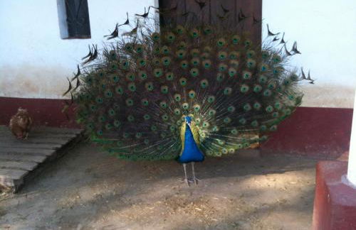 Herdade do Monte Outeiro - Turismo Rural - Foto 17