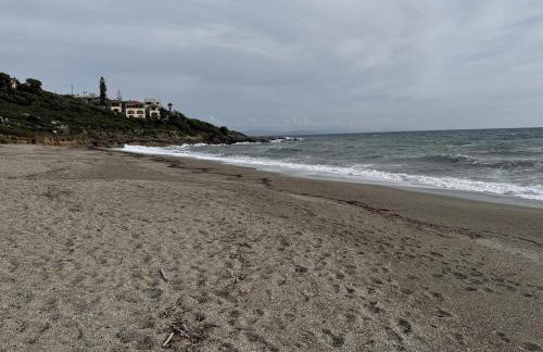 Jassemi Studio - Foto 25