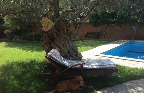 Villa Olivo Kampani - Foto 74