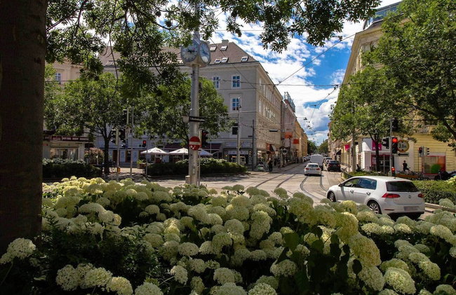 Charming Apartments Near City Centre - Foto 54