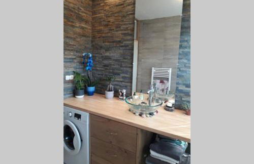 Grand appartement avec jardin Promos en juillet location a la semaine samedi au samedi ou dimanche au dimanche - Foto 15