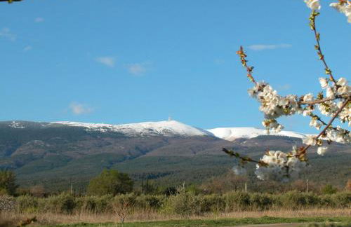 Mas Boudeissoun - Cœur de cerise - Baignade à 600 m - Foto 21