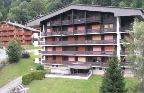 Studio Mezzanine Châtel, Parking, 4 pers. - FR-1-676-111 - Photo 10