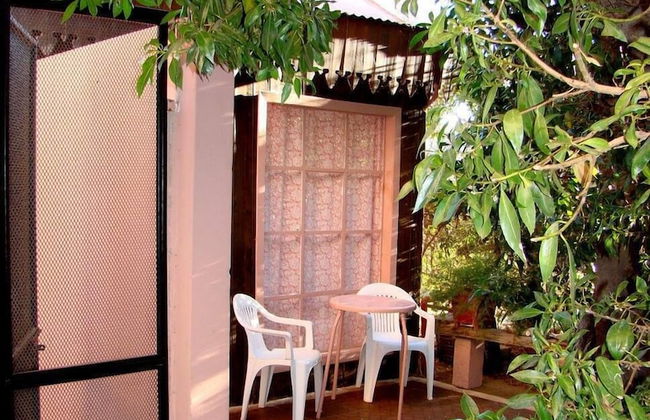 La Floridita Puerto Piramides - Foto 18