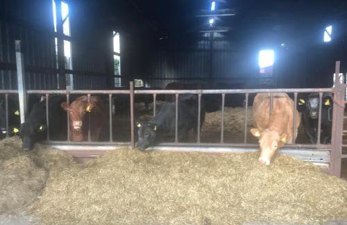 Swallows’ Barn - Photo 39