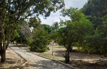 Abelha & Peixe Boi - Photo 27