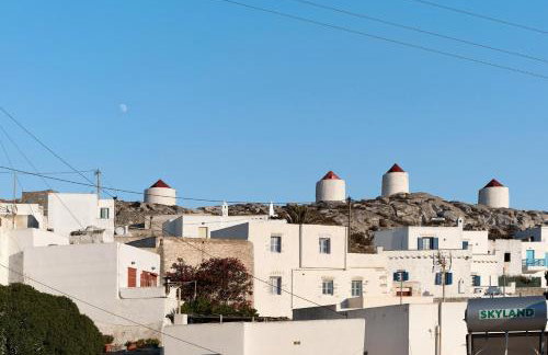 Politimis Studio N1 - Photo 29