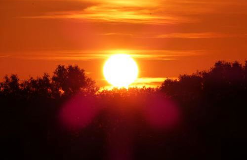 Zum Froschteich - Foto 9