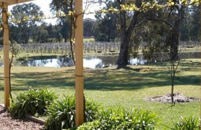 Byronsvale Vineyard and Accommodation - Foto 22