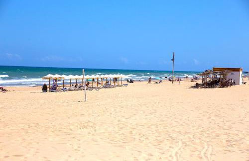 Los Naranjos - Foto 24