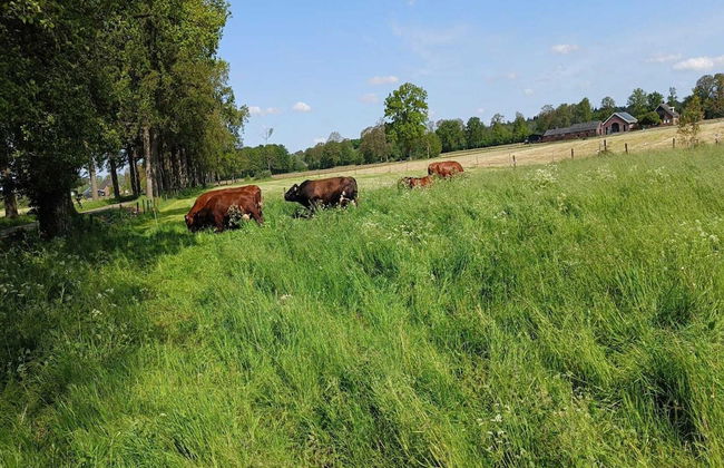 Farmhouse in De Heurne Near the Forest - Photo 48