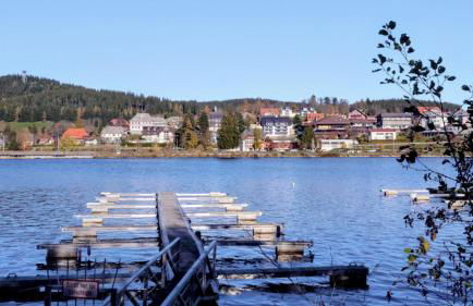 Ferienwohnung "Il Paradiso" in Schluchsee mit Dachterrasse und Seeblick - Foto 44