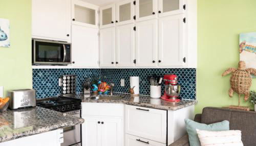 CDM 204 - Turtle-y Awesome - Foto 2