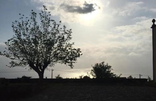 Serreta Island Home - Photo 2