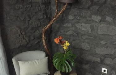 Vigia dos Machados - Photo 8