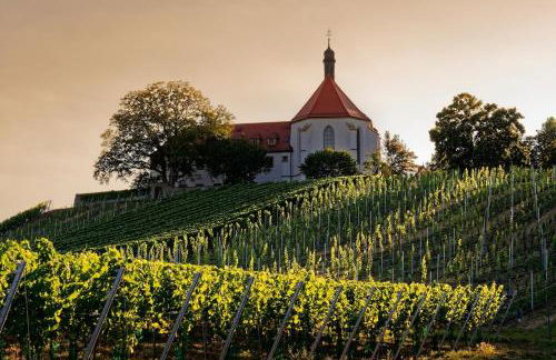 Main-Nest Volkach - Foto 6