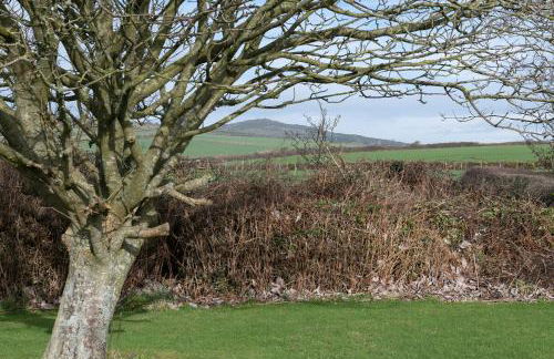 Aotearoa in Church Bay - Foto 22