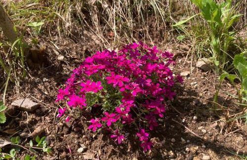 Chalet Relax Molveno - Foto 26