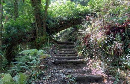 Kastorio-Villy's Guest House - Foto 58