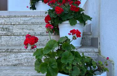 Casa vacanze SoleeMare Barletta Apartments - Foto 51