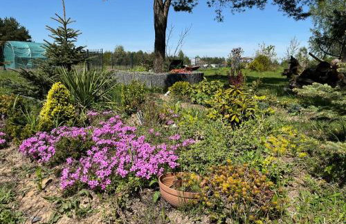 Domek wypoczynkowy Letnisko Sosenkowo - Foto 62