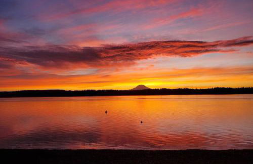 Beachfront Anderson Island Escape Rainier Views! - Foto 33