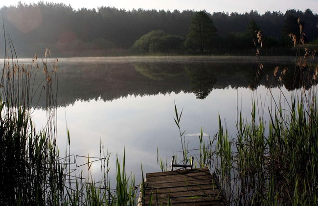 Terraced House, Lohmen - Foto 37