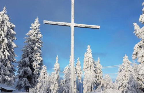 Wohnung Mitterdorf - Foto 40