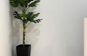 As Casas do Penedo da Moura - Foto 19