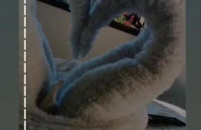 Pousada Siroba BEIRA RIO - Photo 5