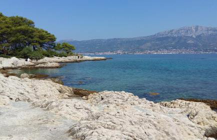 Little cherry - Photo 47