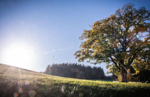 Ferienhof Stöhrmühle - Foto 48