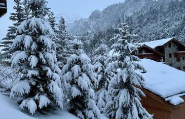 Appartement neuf haut de gamme esprit chalet à Méribel - 4 couchages - Foto 25