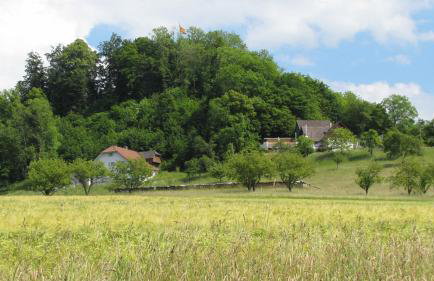 Alte Schmiede - Foto 20