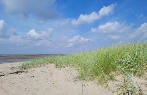 Van Senden 10 Beneke - Photo 28