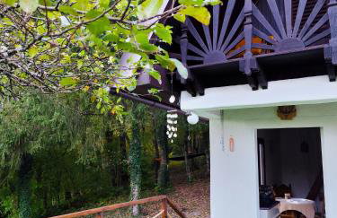 UNDER THE GREEN ROOF - Foto 40