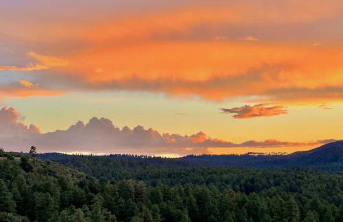 Pine Nest Retreat Saloon and Scenic Views - Foto 48