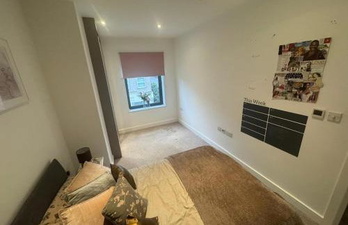 JVL Nice Cosy 1BR Flat Purley, London - Foto 49