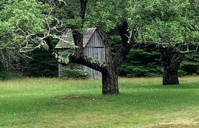 Meta Goldin Farmhouse - Meadow! - Foto 11