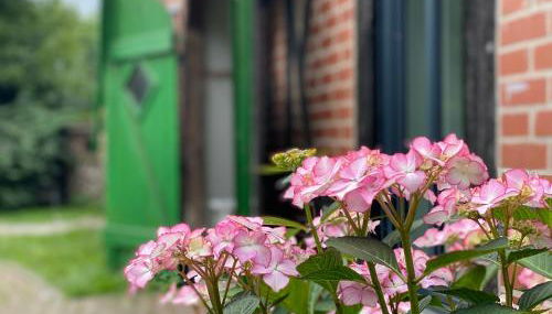 Reet-Cottage Nahe der Ostsee - Foto 5