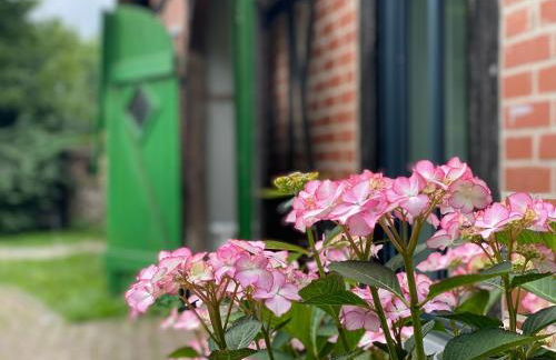 Reet-Cottage Nahe der Ostsee - Foto 5