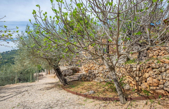 Els Abats - Villa With Private Pool In Fornalutx - Photo 35