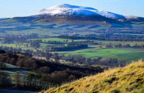 Dungavel Cottage - Foto 10