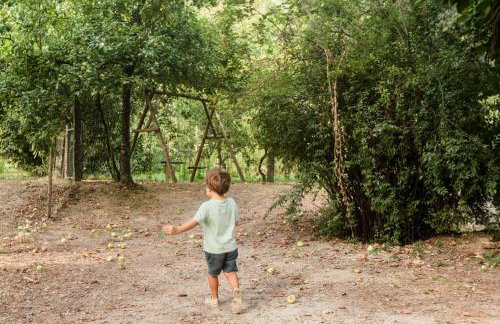 Casa da Eira "Lavoura da Bouça - Fruta Bio" - Foto 70