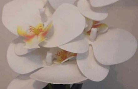 Air Luxury Makati CBD - Foto 18