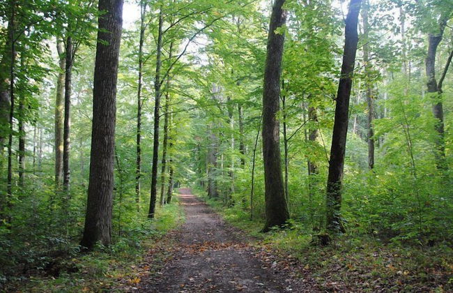 Wilhelmsen house Apartments - Photo 59