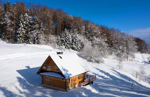 Chata na Kowalówkach - domek w górach - blisko szlaków i wyciągu - Foto 65