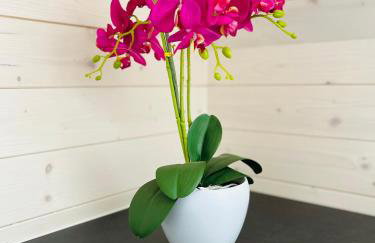 Lawendowe Domki Latoszyn-Zdrój Domek Bergen - Foto 29