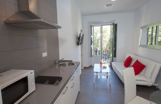 Apartamentos Terrazas de la Catedral - Photo 49